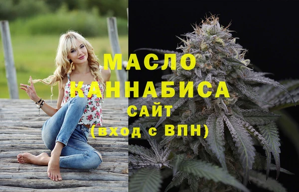 молекула духа Козельск