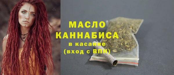 молекула духа Козельск
