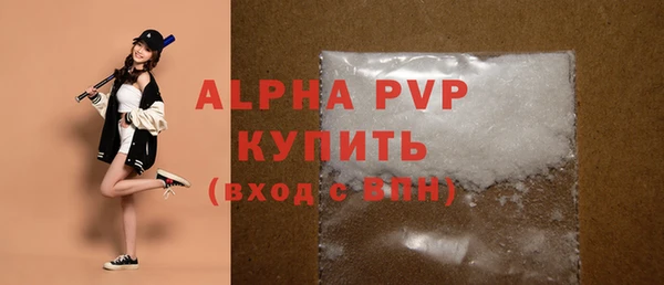 молекула духа Козельск