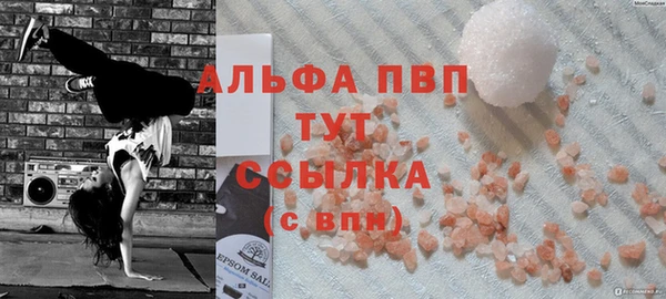 молекула духа Козельск