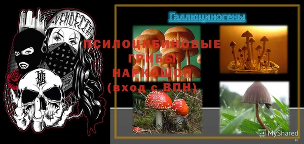 таблы Козловка