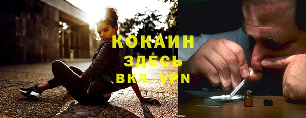 таблы Козловка