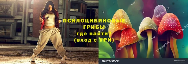 таблы Козловка