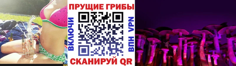 Псилоцибиновые грибы Cubensis Карабаш