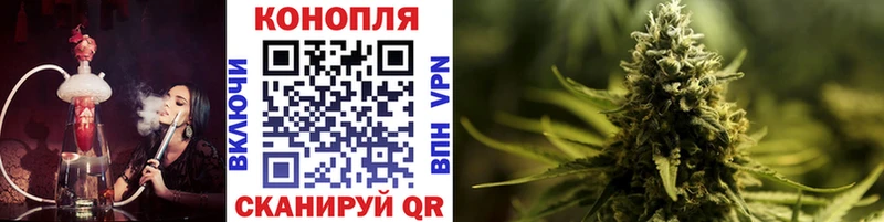 Канабис OG Kush Карабаш